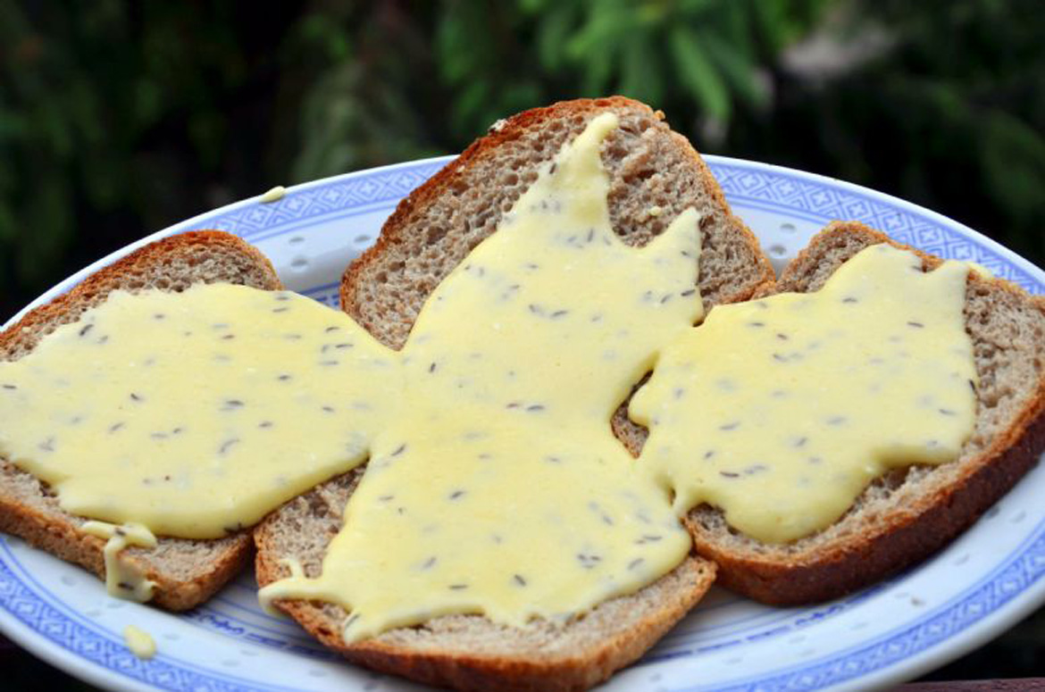 Kochkäse, o queijo patrimônio do Vale Europeu brasileiro | Caixa Colonial
