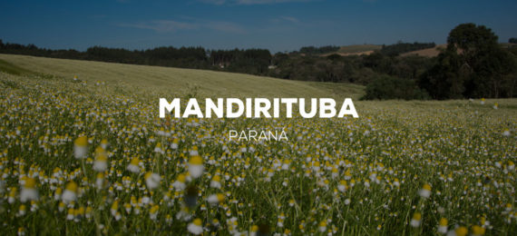 Mandirituba - Paraná
