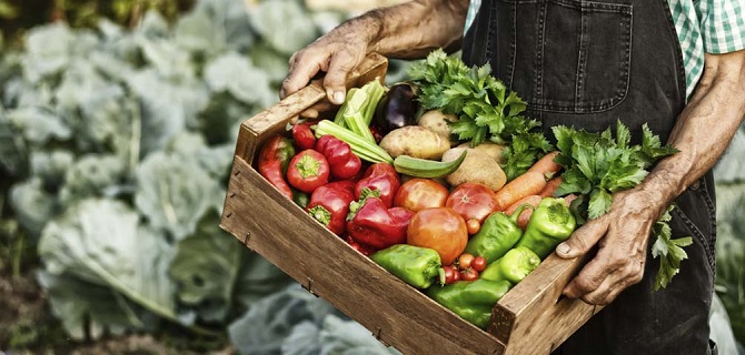 Slow Food Movimento Que Vai Al m Do Prazer Mesa slow-food-movimento-que-vai-al-m-do-prazer-mesa