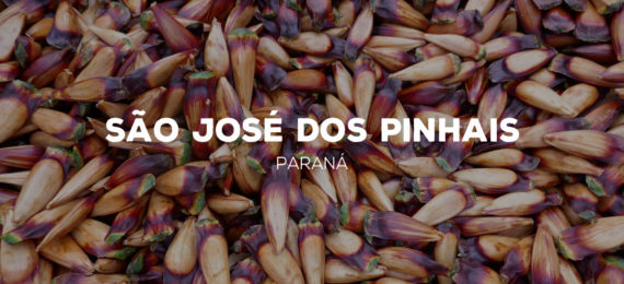 Kit de São José dos Pinhais - PR