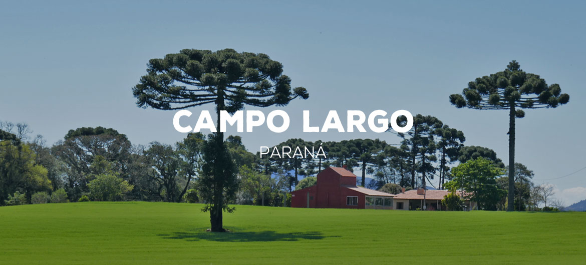 capa-selecao-campolargo