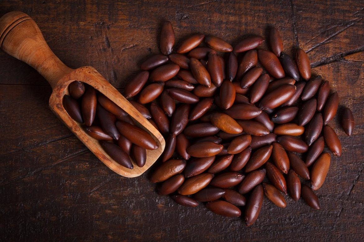 Castanha de baru receitas e benefícios da joia do Cerrado Caixa Colonial