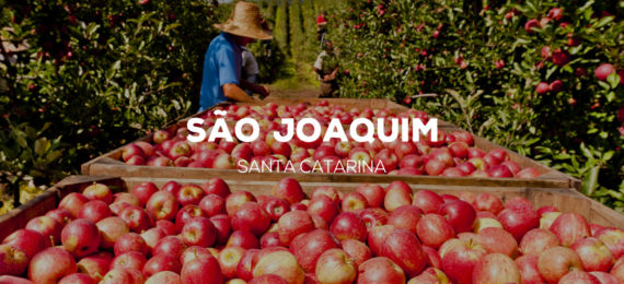 São Joaquim - Santa Catarina