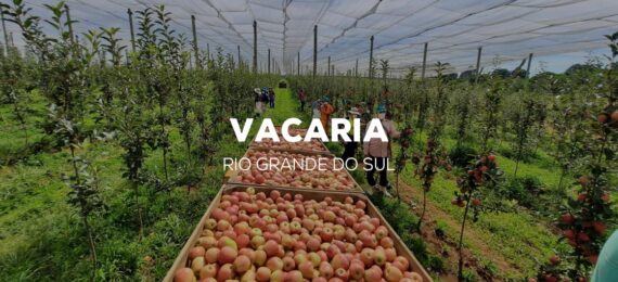 capa-vacaria-interna