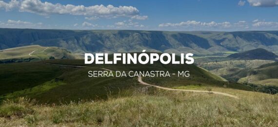 capa delfinopolis interna