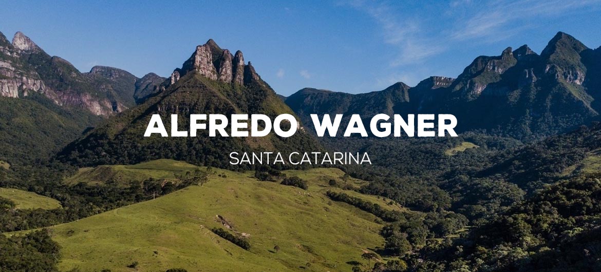 capa alfredo_wagner interna