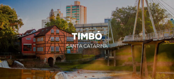 capa-timbo-interna